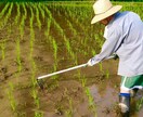 これから田舎暮らしをしたい方にアドバイスします 田舎暮らしに興味があり、情報を得ておきたい方へ。 イメージ2