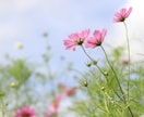 ライン感覚❀気軽に話そ♪あなたの心ほぐします 電話は違うかなぁ…でも誰かと繋がりたい。そんなあなたにも❀ イメージ9