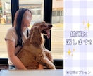 スマホで1日出張撮影します ひとり観光•推し活•マチアプ【コスパ◎】無限に撮り放題！ イメージ8