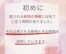 動物好き必見！！のデザインを提供致します 動物の特徴や習性を短く簡潔にまとめました イメージ2
