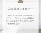 TikTokのフォロワーを1200人から増やします 【減少補償付き】1人1.2円！どこよりも安く提供します！ イメージ3