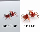 ハンドメイド作品の写真レタッチ承ります あなたの作品の魅力を引き出します！ イメージ2