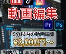 迅速かつ丁寧に動画編集いたします 長期のご依頼・サムネイル作成も対応可能です! イメージ1