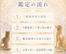 虹の橋を渡ったペットちゃんの気持ち霊視します 家族として大切なあの子との『心の対話』をお届けします イメージ7