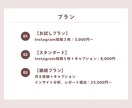 インスタ運用代行で集客と売上を最大化します 美容クリニック実績あり。集客導線まで設計 イメージ3