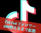 instagram30日間運用代行保証します 【最大1500人増加保証付】効果抜群！インスタグラム運用 イメージ7