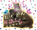 素敵な毎日を過ごせるようにお手伝いします 些細なことから何でも日常のお話し聞かせて下さい( ᵕᴗᵕ ) イメージ2