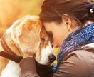 ペットロス。お話聞きます 思い出話、悲しい気持ち、なんでも話してくださいね。 イメージ5