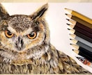 色鉛筆画(キャラクター、動物、風景）を描きます 夢野リリィが120色の色鉛筆を駆使して描きます。 イメージ8