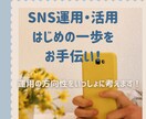 SNS運用・活用はじめの一歩をお手伝いします 運用の方向性をいっしょに考えます！ イメージ1