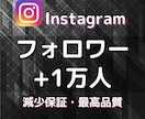 Instagramのフォロワー1万人以上増やします 格安で最高品質をお届け★伸びる拡散や宣伝で増加します★ イメージ4