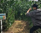 YouTubeの動画編集をします テンプレート編集ではなく、素材を活かして仕上げます イメージ4