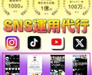総フォロワー100人万のプロがSNS運用代行します 企画〜投稿までトータル支援(丸投げもOK) イメージ1
