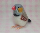 あなたの小鳥をモデルに羊毛フィギュアを制作します 自分の小鳥のグッズをあきらめていた方必見！　小型～中型インコ イメージ8