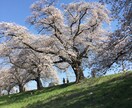 癒しボイスで心のモヤモヤを解消します ちょぴっとだけでも大丈夫ですよ〜♪ イメージ4