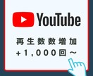 Youtubeの動画再生数+1,000増やします 1,000回1,500円！最大5万回まで対応！ イメージ1
