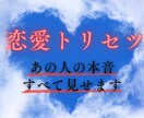 あの人の心の奥を読み解きます 恋愛攻略トリセツ｜8,000字超の超詳細鑑定 イメージ1