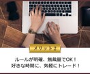 天地無双FXによる高機能ツールを提供します FXトレードで勝てるようになった経験とそのロジックの公開 イメージ3
