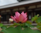 人生に役に立つ知恵を教えます 古神道数秘術＆風水＆スピリチュアルで占います。 イメージ3