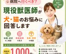 病院行くべき？現役獣医師がお悩みに丁寧に回答します 体調・検査結果・食事・飼育の不安を分かりやすくサポート イメージ1