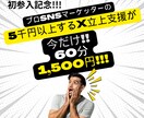 ココナラ初参入記念大幅割引！X立ち上げ伴走します ビデオチャットでXアカウント立ち上げ支援と運用指南します イメージ1