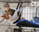 11月限定価格☆ペットたち集合させます 複数の写真のお気に入りを1枚のイラストにします！ イメージ2