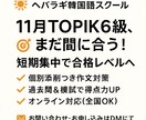 TOPIK6級合格に特化した対策レッスンします TOPIK6級取得に向けた効果ある勉強法を一緒に実践します イメージ1