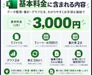 Excelデータを整理・集計・見える化します バラバラな表を、集計表とグラフで判断しやすい形へ イメージ4