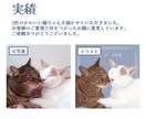 動物のイラストお描きします 小動物から爬虫類まで！どんな動物もリアルでやわらかい雰囲気に イメージ4