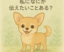 アニマルコミュニケーションします 納期3日以内を厳守！早く知りたいあの子の気持ちや行動の意味 イメージ3