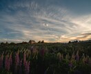 ニュージーランド国内何処でも出張撮影いたします 目を引くような魅力的な写真を提供 イメージ6