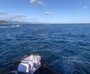 グレ釣りのコツを教えます 数々のグレ釣りトーナメントで戦ってる釣り方です イメージ3