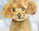 ハガキサイズのペット似顔絵をお届けします 飾りやすく、贈りやすい。大切な“うちの子”をやさしく描きます イメージ10