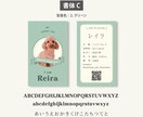 写真入り犬猫ペット名刺　色と書体が選べます 歴15年のデザイナーが作るセミオーダー名刺100枚送料込 イメージ8