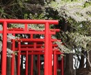 片想い6年→交際5年→結婚20年♡お話聞きます 遠距離恋愛♡遠距離生活など私の経験で良かったら話そう♪ イメージ4