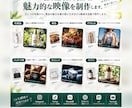商品写真1枚から売れるAI動画を制作します 撮影不要｜広告・SNS向け商品動画 イメージ2