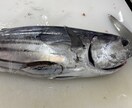 誰でも簡単に魚をさばけるようにします 魚さばいてかっこいい！って思われたくないですか？ イメージ1