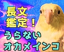 西洋占星術でおふたりの相性を占います 【オカメのちいさい相性うらない】ふたりの基本性格と相性 イメージ1