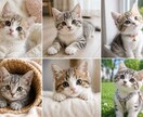 流行りの画像生成代行します 今流行りの美女やペットの画像ををお作りします イメージ5
