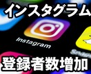 インスタグラムのフォロワーを+100増やします 精一杯に増えるまで宣伝します。追加でさらにフォロワー増幅可能 イメージ1