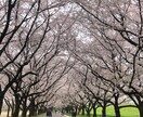 悩み相談、解決できるような内容を返信します メール確認後、すぐに返信します。 イメージ3