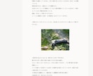 プロライターがAI不使用で文章・記事作成をします ホームページ、アフィリエイト、ゲーム記事なども楽しく執筆中！ イメージ8