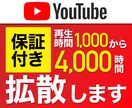 4000時間！YouTubeの再生時間を増やします 【達成保証】再生時間4000時間達成希望者限定！8月限定価格 イメージ1