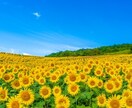 チャットであなたのお話を24時間傾聴します 秘密厳守。愚痴でも相談でも何でもok。時々タロットを交えます イメージ4