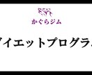 ダイエット用プログラムデータをお渡しします 今年こそはダイエット成功したい方必見です! イメージ2