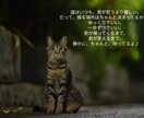 猫のオラクルカードでメッセージを届けます ネコ世界から届く愛と癒やしのスピリットメッセージ イメージ6