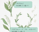 現役デザイナーが季節のお花のイラスト描きます 透明水彩の柔らかさや滲みが魅力♩ イメージ2