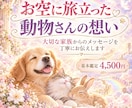 お空に旅立った動物さんの想いを丁寧にお伝えします もう一度聞きたい事 伝えたい事感じ取ったメッセージ イメージ1