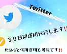 ３０日間◆1からでもTwitter運用代行します ３０日間Twitterをフォロワーゼロから運用します！ イメージ1