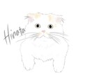 大切なペットの似顔絵描きます 写真を模写し、柔らかい色を付けてお渡しします。 イメージ6